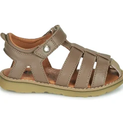 GBB - FERNATO
