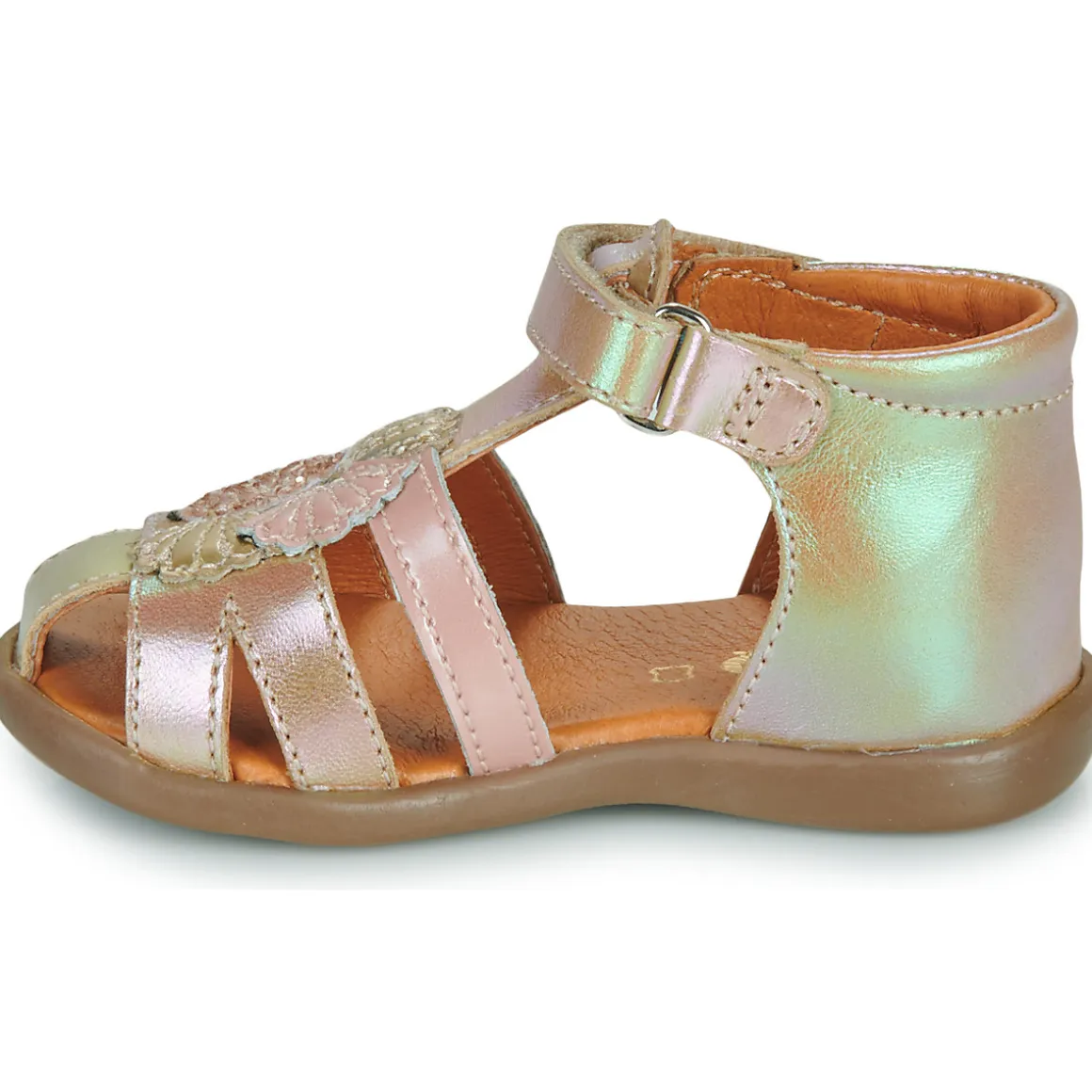 GBB - FLORE