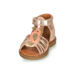 GBB - FRANIA
