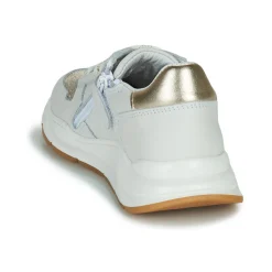 GBB - LEANDRIA