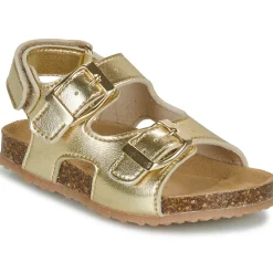 GBB - REBECCA