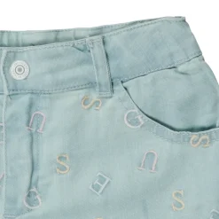 Guess - IMAS