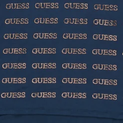 Guess - LOOP