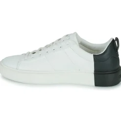 Guess - NEW VICE