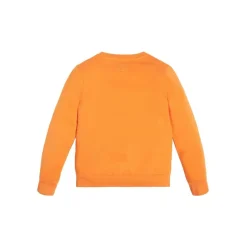 Guess - SWEAT