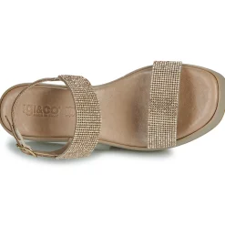 IgI&CO - 5687122
