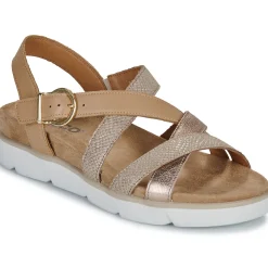 IgI&CO - D.DELIA