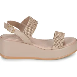 IgI&CO - DONNA ENGY