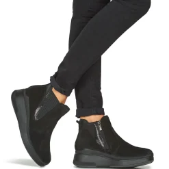 IgI&CO - D.PALOMA