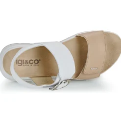 IgI&CO - D.SIRENA