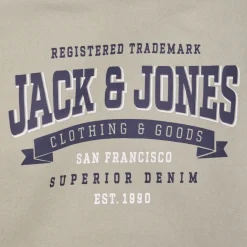 Jack & Jones - JJELOGO SWEAT HOOD 2 COL 24 SNJNR