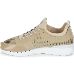Kangaroos - COIL 2.0 MONO