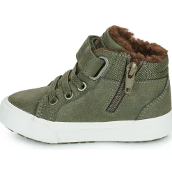 Kangaroos - Kavu III