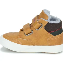 Kangaroos - KAVU PRIMO