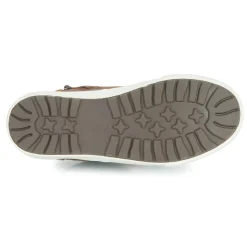 Kangaroos - Kavu X
