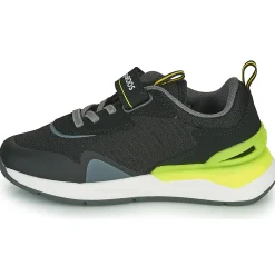 Kangaroos - KD-GYM EV