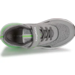 Kangaroos - KD-Gym EV