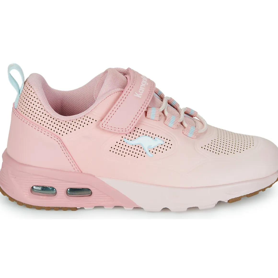 Kangaroos - KX-Bases EV