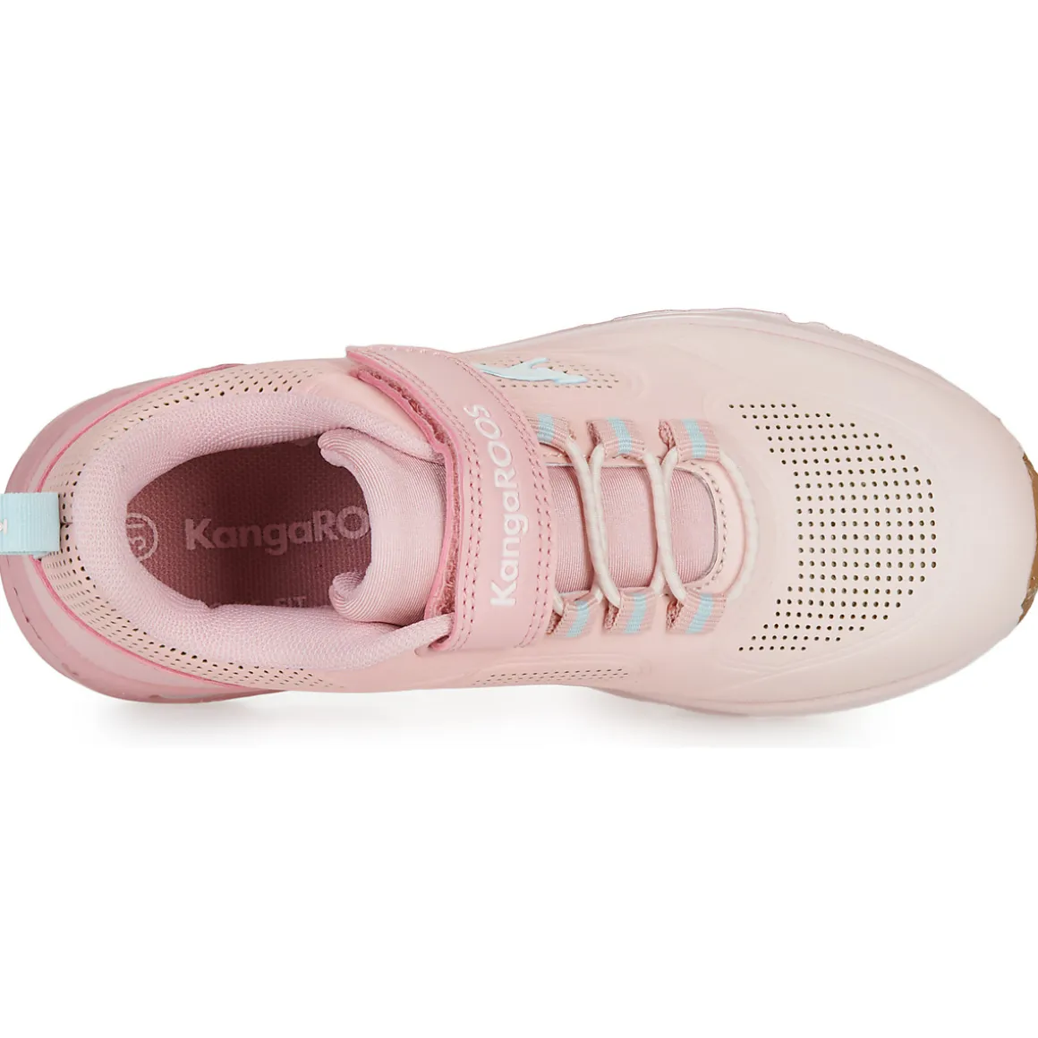 Kangaroos - KX-Bases EV