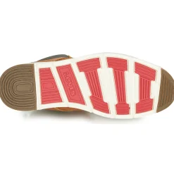 Levi's - JAX PLUS