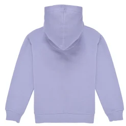 Levi's - LVG-BATWING CHEST HIT HOODIE
