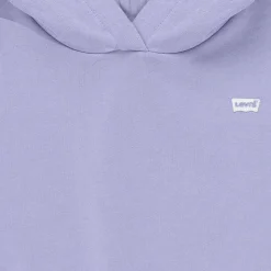 Levi's - LVG-BATWING CHEST HIT HOODIE