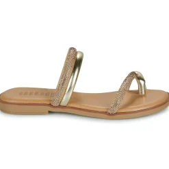 MTNG - 54563