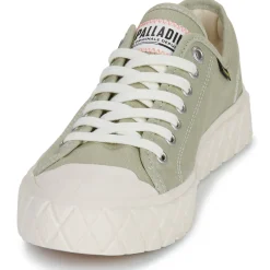 Palladium - PALLA ACE CVS