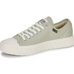 Palladium - PALLA ACE CVS