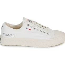 Palladium - PALLA ACE CVS