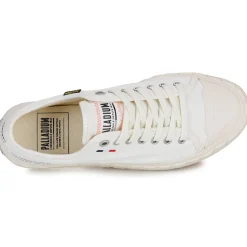 Palladium - PALLA ACE CVS