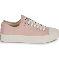 Palladium - PALLA ACE CVS ORG