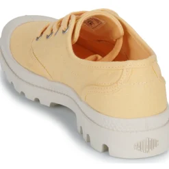 Palladium - PAMPA OX