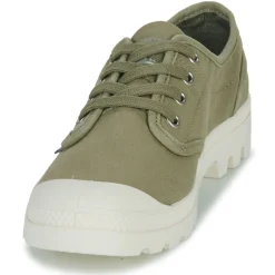 Palladium - PAMPA OXFORD