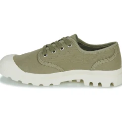 Palladium - PAMPA OXFORD