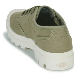 Palladium - PAMPA OXFORD