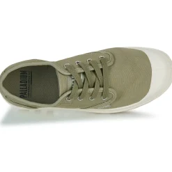 Palladium - PAMPA OXFORD