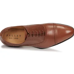 Pellet - ALEX