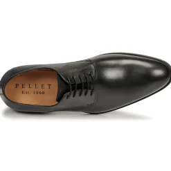 Pellet - ALIBI