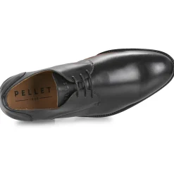 Pellet - BILLY