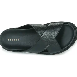 Pellet - FELIPE
