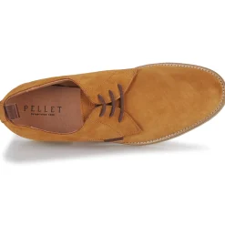 Pellet - GREG