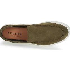 Pellet - LUCIUS