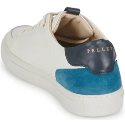 Pellet - SIMON