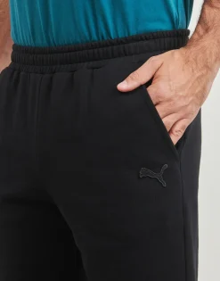 Puma -