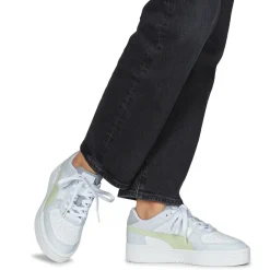 Puma - CA PRO