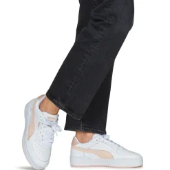 Puma - CA PRO