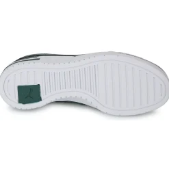Puma - CA PRO