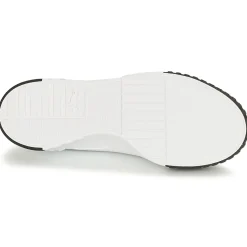 Puma - CALI