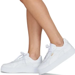 Puma - CARINA
